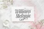 Fendysa - Calligraphy Font