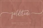 Fieldstone Font