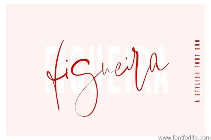 Figueira Font