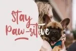 Finest Font