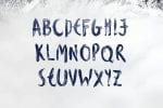 Fjord Brush Font
