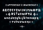 Flashy Font