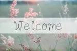 Flayolla Font