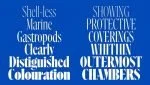 Flecha Bronzea Font