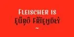 Fleischer Display Font
