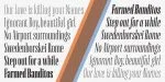 Flenja Font