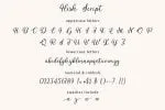 Flish Font