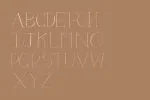 Flora Serif - Hand Lettered Uppercase Serif Font