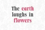 Floral Serif Font