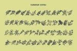 Floravian Font