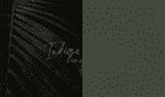 Florentina Font Signature Script