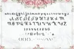 Florishy Font