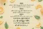 Florissha Font
