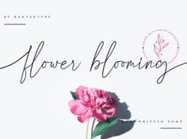 Flower Blooming Font