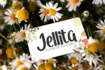 Flower Days - Brush Script Display Font