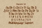 Flower Days - Brush Script Display Font