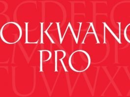 Folkwang Pro