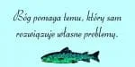 Forelle Pro Font
