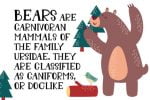 Forest Animal Font