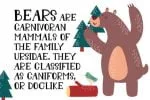 Forest Animal Font
