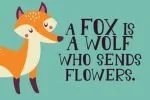Forest Animal Font
