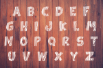 Forest Wood Font
