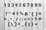 Forest Wood Font