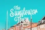 Foretelling Script Font