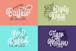 Foretelling Script Font