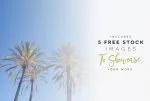 Forever Summer Extras Font