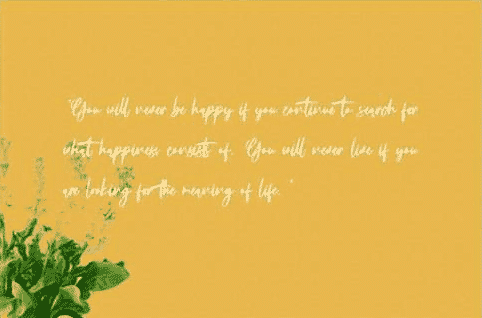 Fortunelimes Script Font