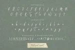 Foxtail Font