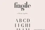 Fragile A Delicate Typeface