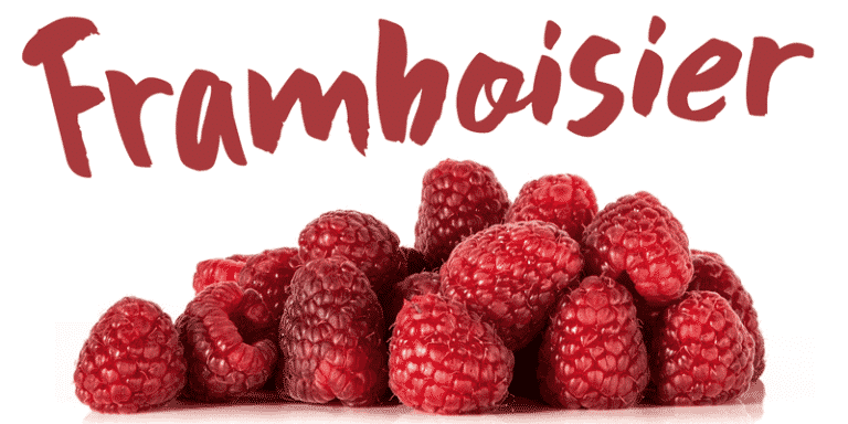 Framboisier Font