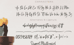Freaks - Script Font