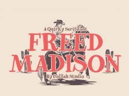 Freed Madison – Quirky and Playful Serif Font