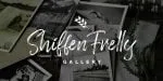 Fregiselle Brush Font