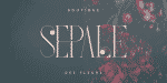 French VP Font Family