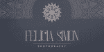French VP Font Family