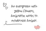 Fresh Ambretta Font
