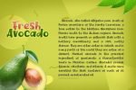 Fresh Avocado Font