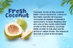 Fresh Coconut Font