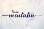 Mettani Font
