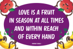 Fruitasy Kitchen Font
