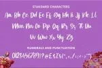 Fun Calligraphy Font