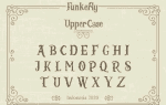 Funkerly Vintage Typeface Serif Font