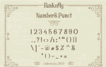 Funkerly Vintage Typeface Serif Font