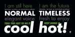 Futura ND Alternate Font Family