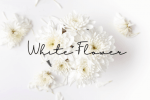 Fuzzybrand Font