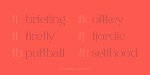 Gabriela Stencil Font Family